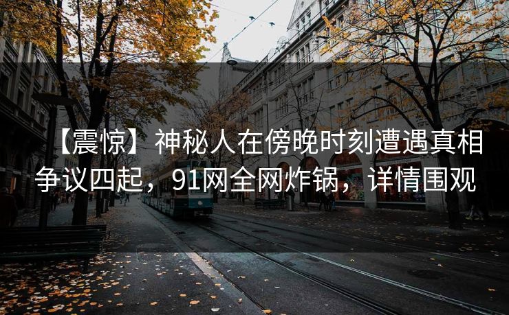 【震惊】神秘人在傍晚时刻遭遇真相争议四起，91网全网炸锅，详情围观