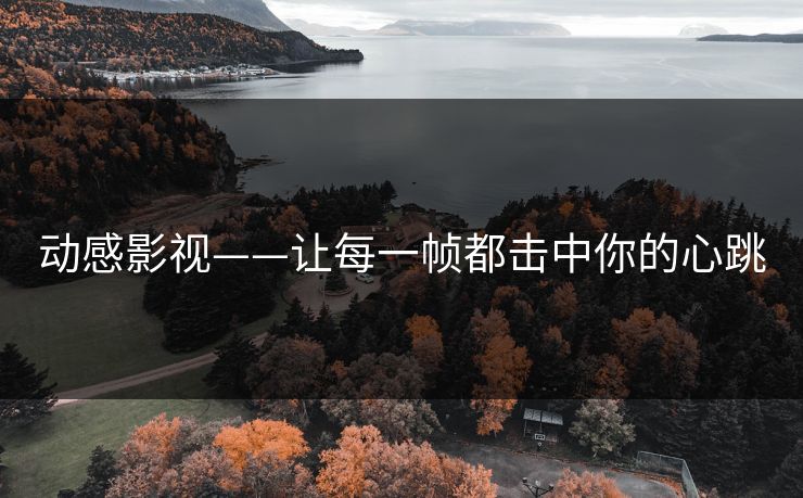 动感影视——让每一帧都击中你的心跳