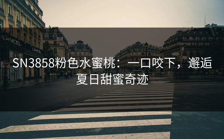 SN3858粉色水蜜桃：一口咬下，邂逅夏日甜蜜奇迹