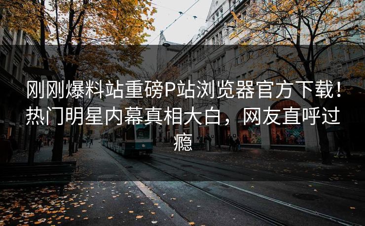 刚刚爆料站重磅P站浏览器官方下载！热门明星内幕真相大白，网友直呼过瘾