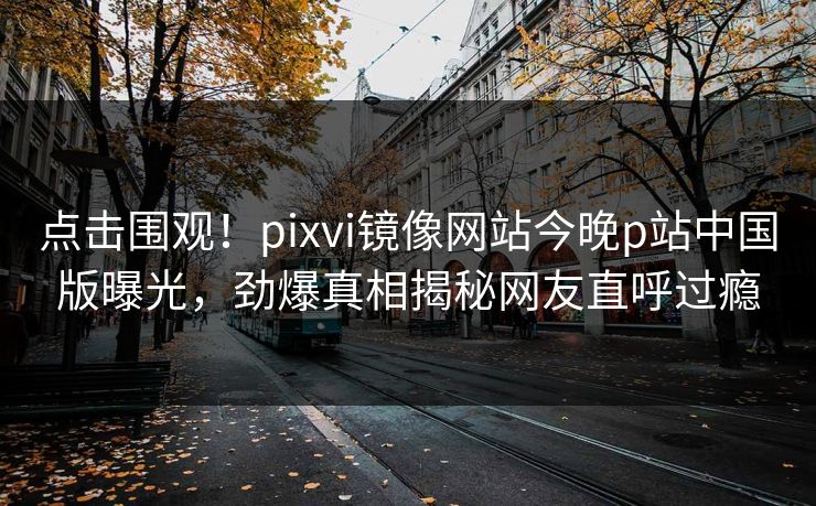 点击围观！pixvi镜像网站今晚p站中国版曝光，劲爆真相揭秘网友直呼过瘾