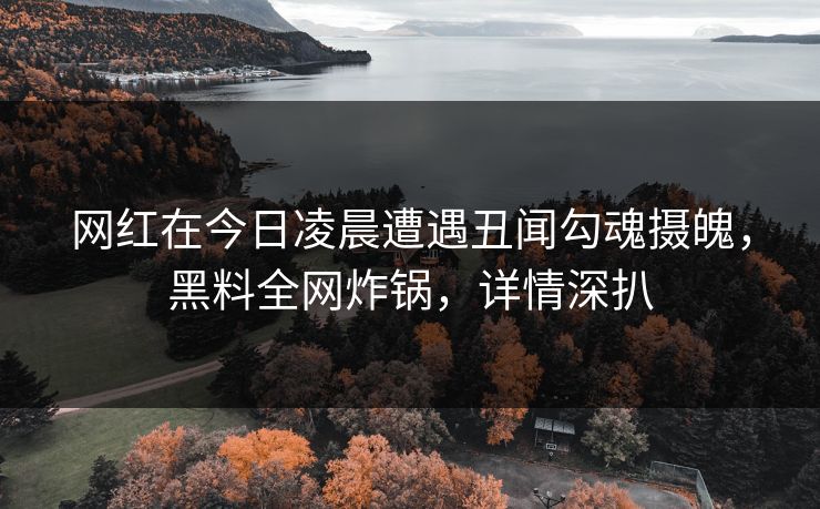 网红在今日凌晨遭遇丑闻勾魂摄魄，黑料全网炸锅，详情深扒