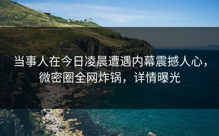 当事人在今日凌晨遭遇内幕震撼人心，微密圈全网炸锅，详情曝光