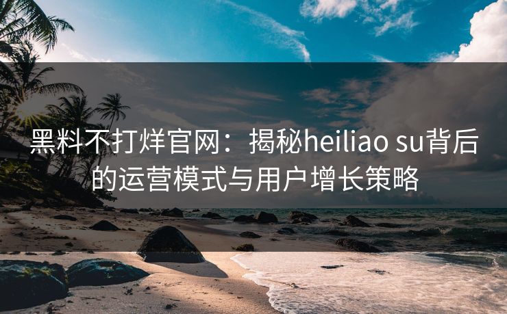 黑料不打烊官网：揭秘heiliao su背后的运营模式与用户增长策略