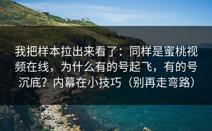 我把样本拉出来看了:同样是蜜桃视频在线,为什么有的号起飞,有的号沉底?内幕在小技巧(别再走弯路) 我把样本拉出来看了:同样是蜜桃视频在线,为什么有的号起飞,有的号沉底?内幕在小技巧(别再走弯路)